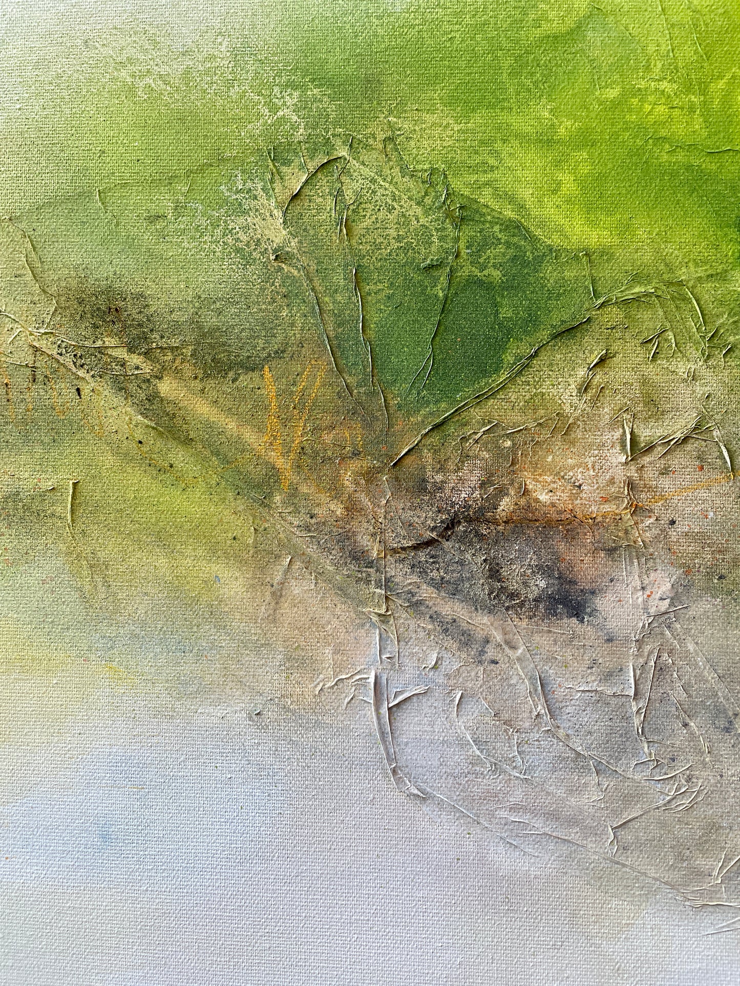 And into the forest I go... No. 3