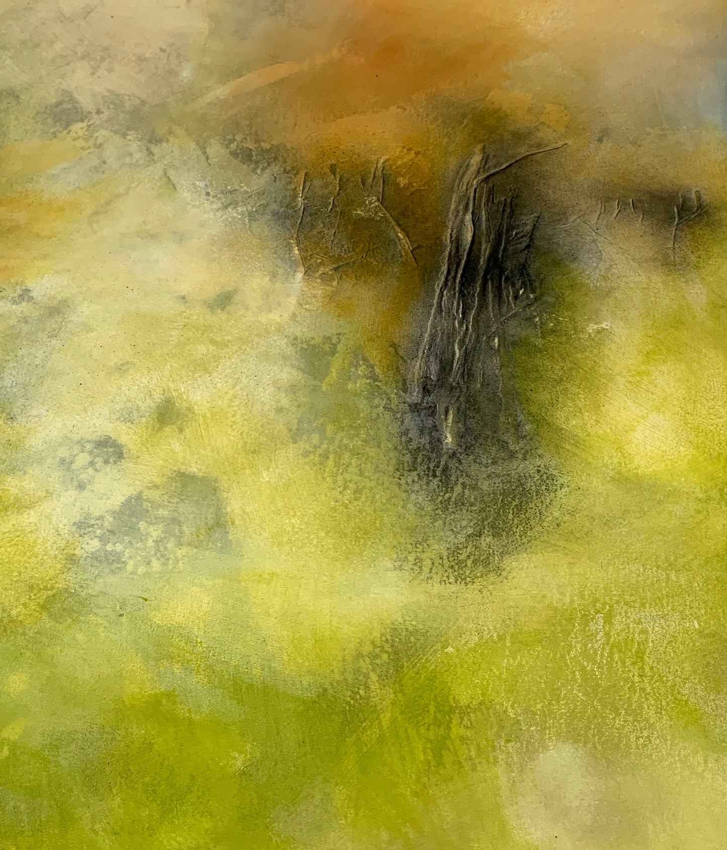 Natural Dream